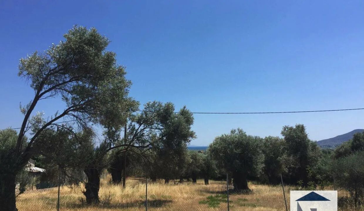SH120 Land in Chora