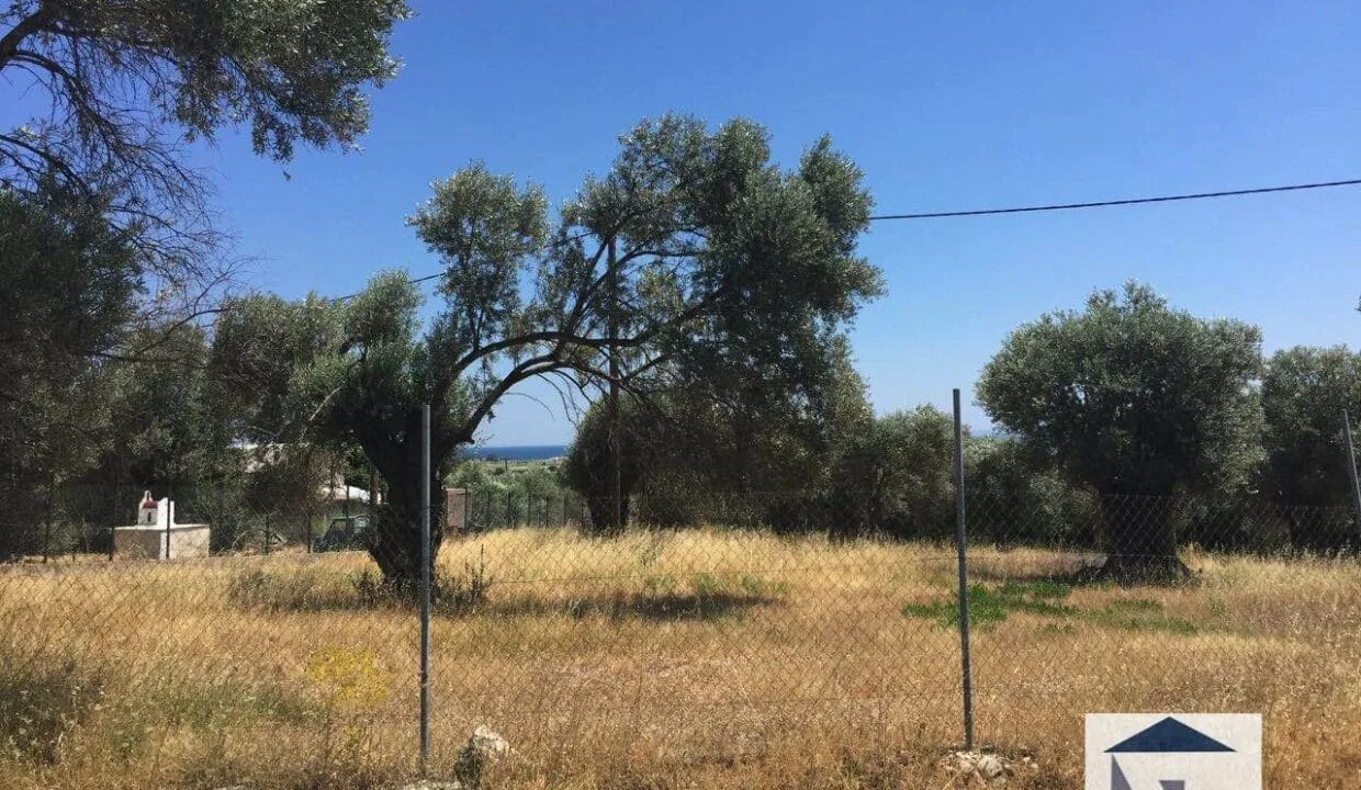 SH120 Land in Chora1