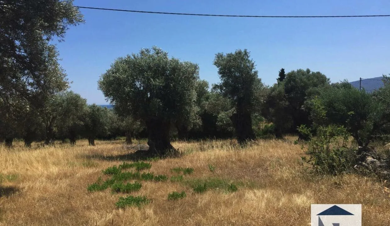 SH120 Land in Chora2