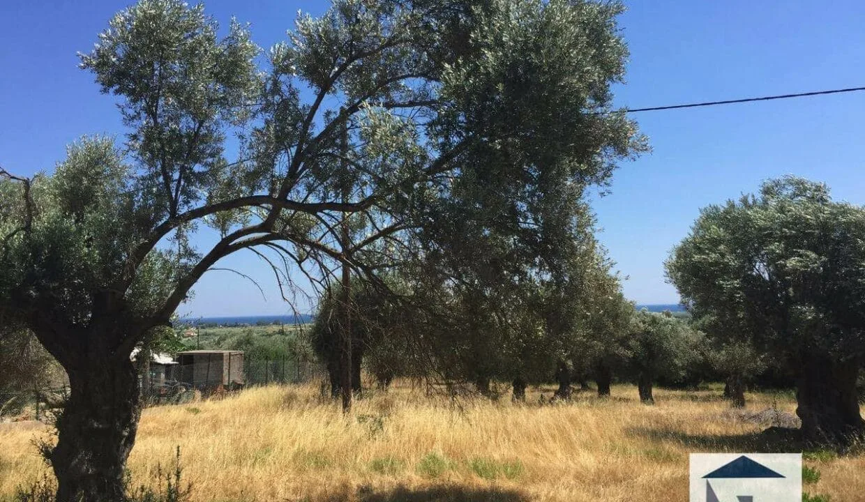 SH120 Land in Chora3