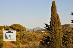 SH134 Land - Samos Properties