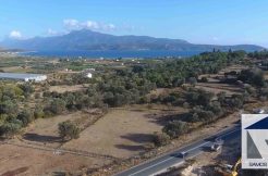 SH136 Property Mesokampos