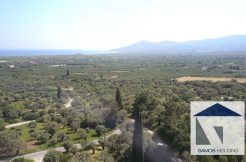 SH171 Land Chora Samos