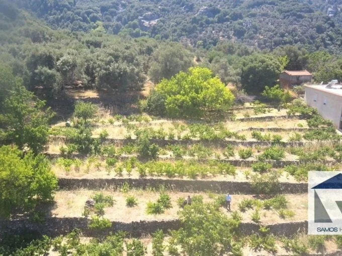 SH182 Land Manolates Samos