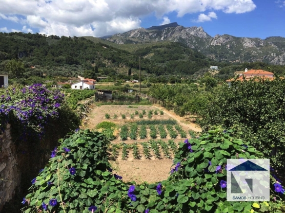 SH184 Land Kokkari Samos