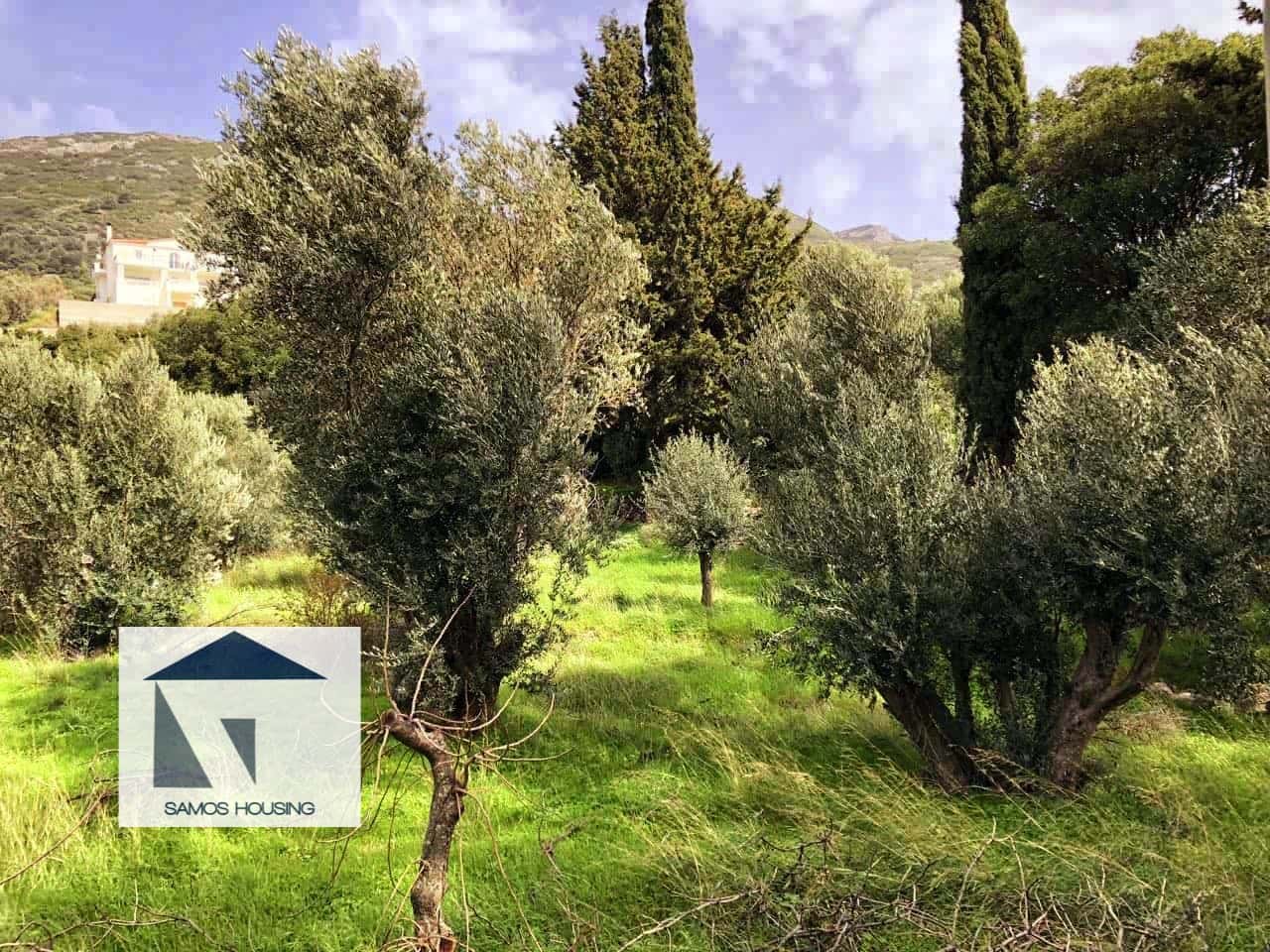 SH229 Property Terrific View Samos