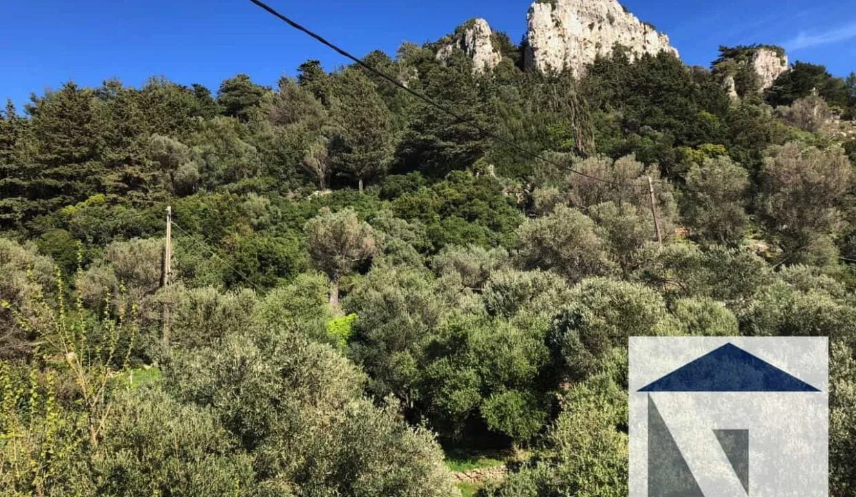 SH238 House Potami Samos7