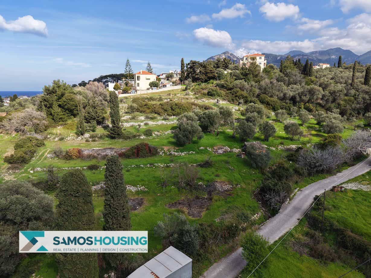 dji_fly_20250311_142756_0001_1741706373264_photo-imp