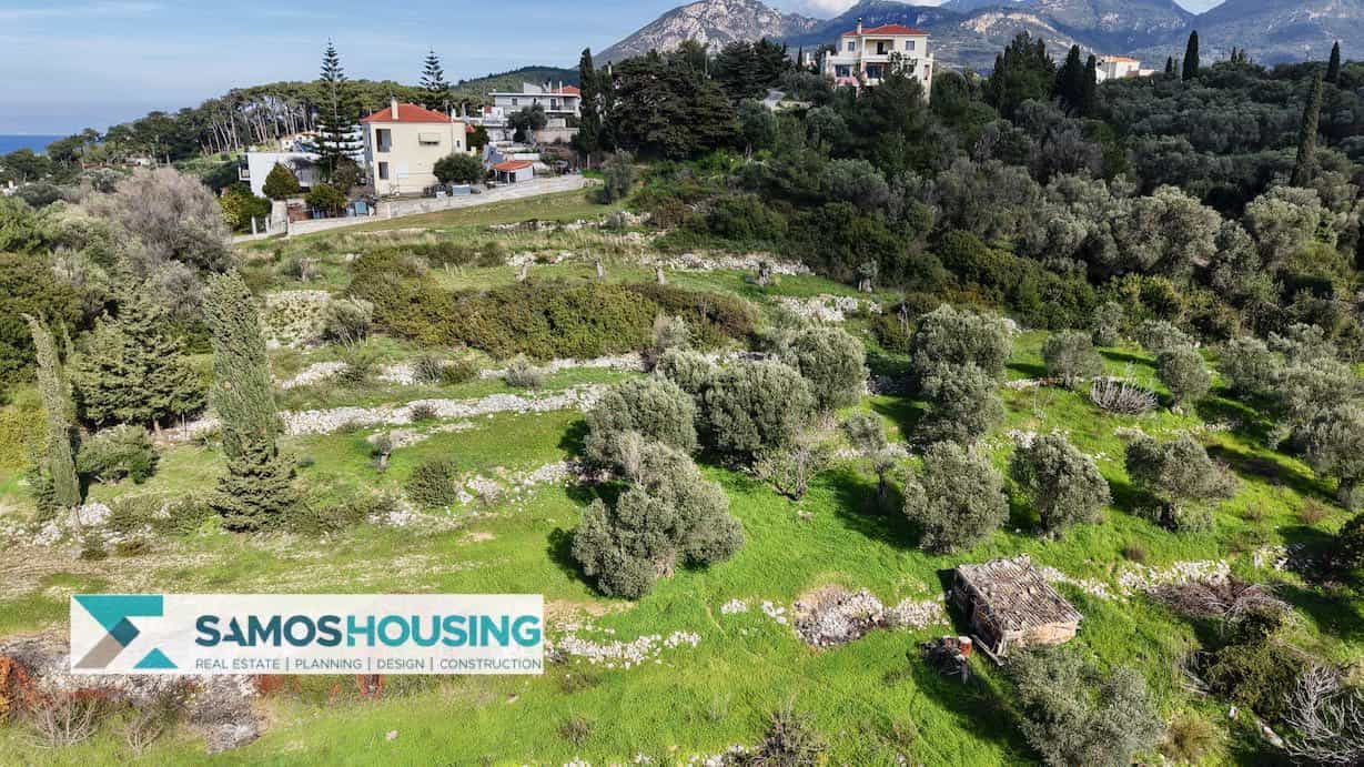 dji_fly_20250311_151640_0017_1741706341847_photo-imp