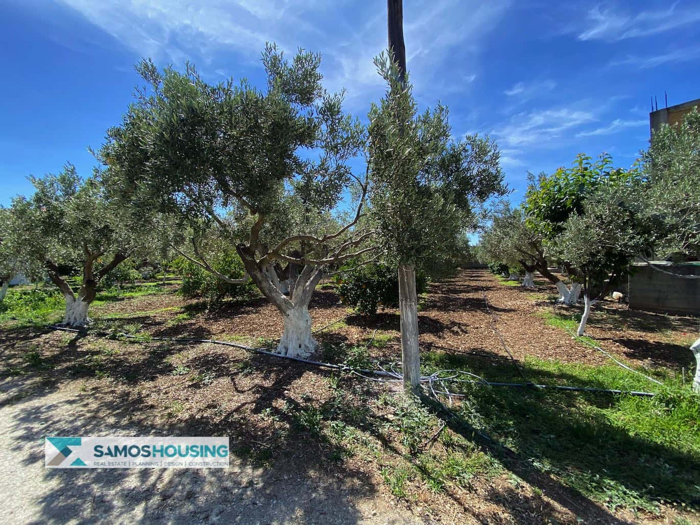 SH297 Property Potokaki Samos1