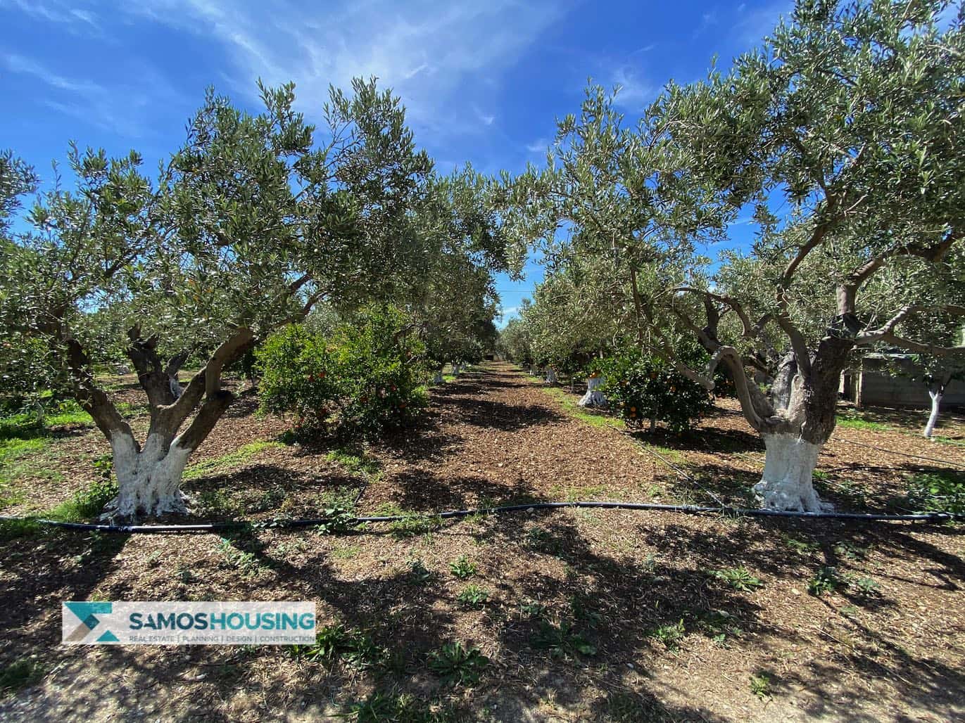 SH297 Property Potokaki Samos2