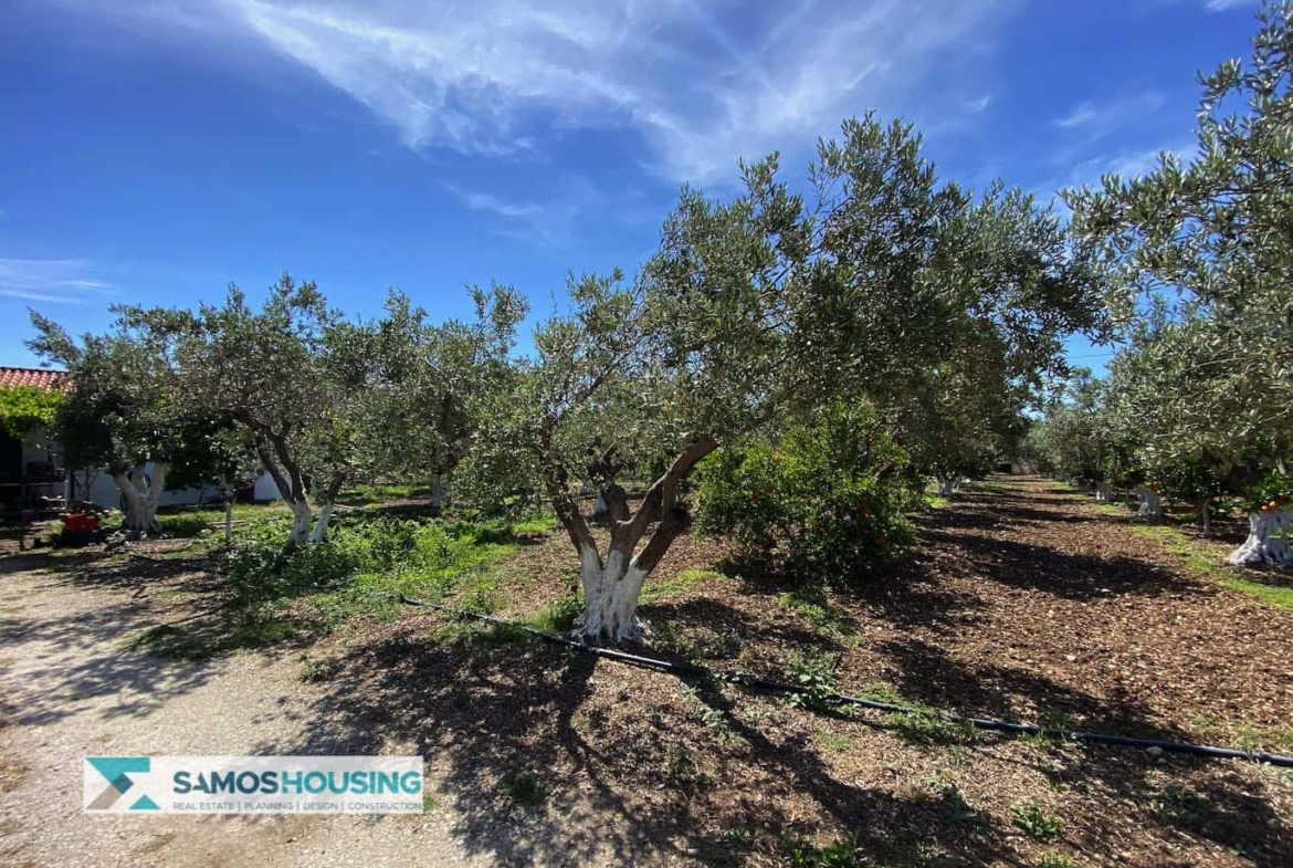SH297 Property Potokaki Samos