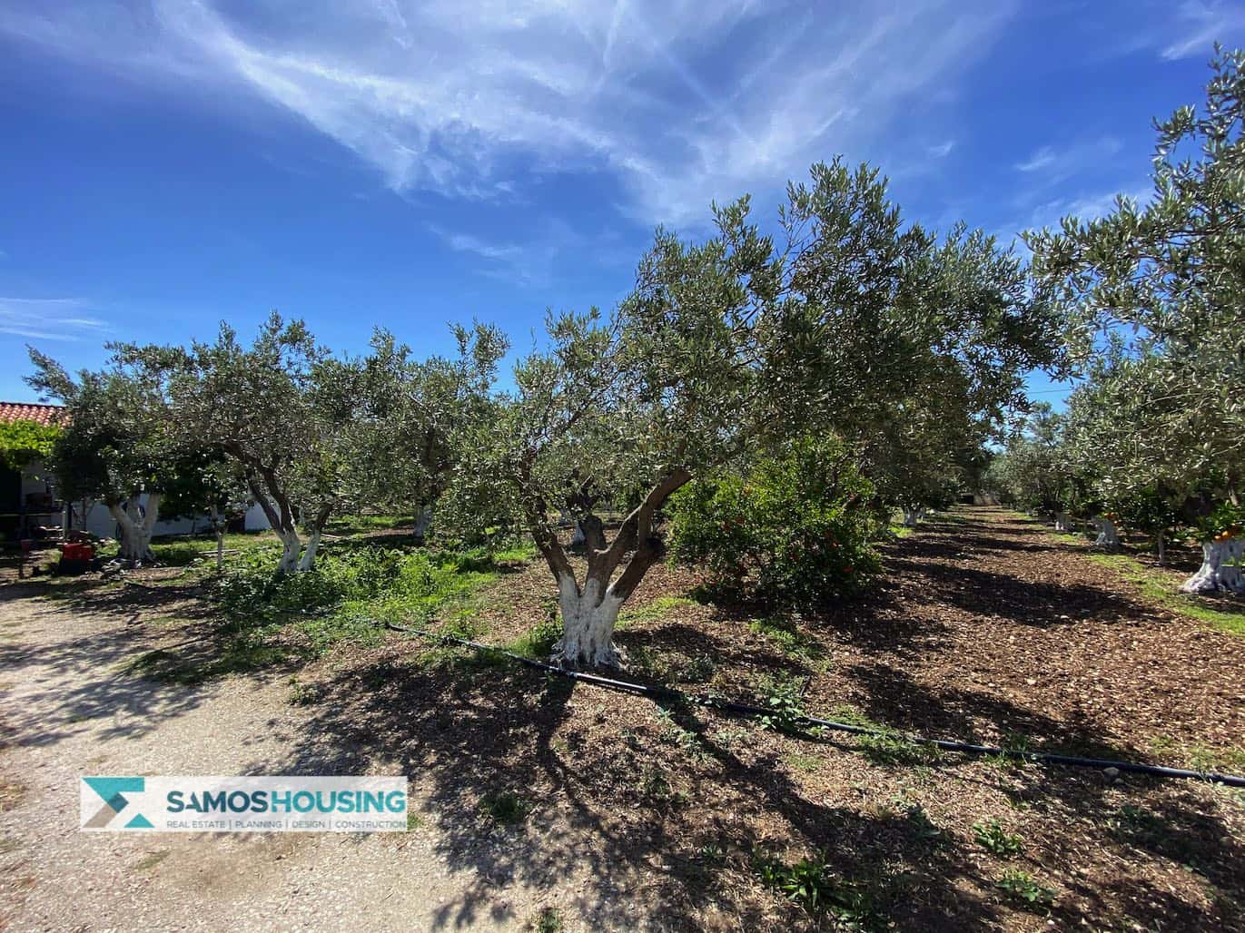 SH297 Property Potokaki Samos3