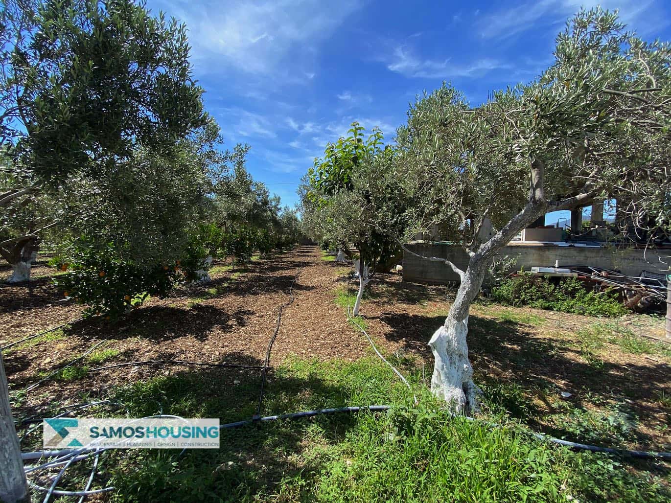 SH297 Property Potokaki Samos4