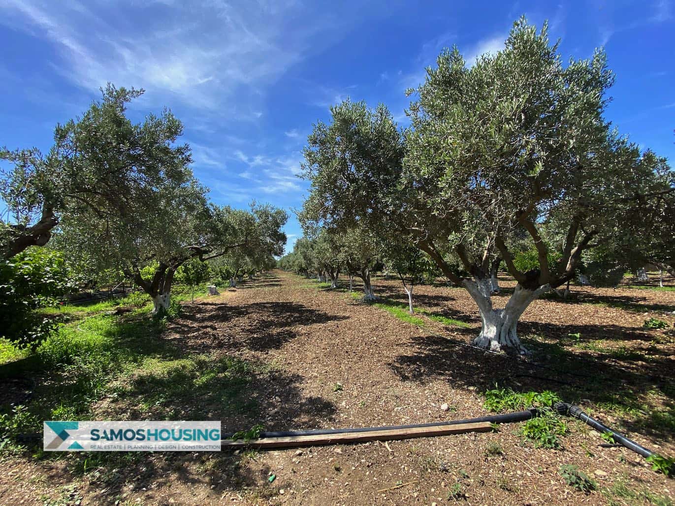 SH297 Property Potokaki Samos5