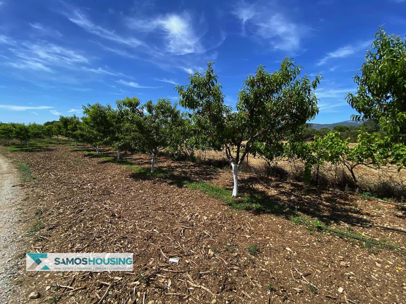 SH297 Property Potokaki Samos6