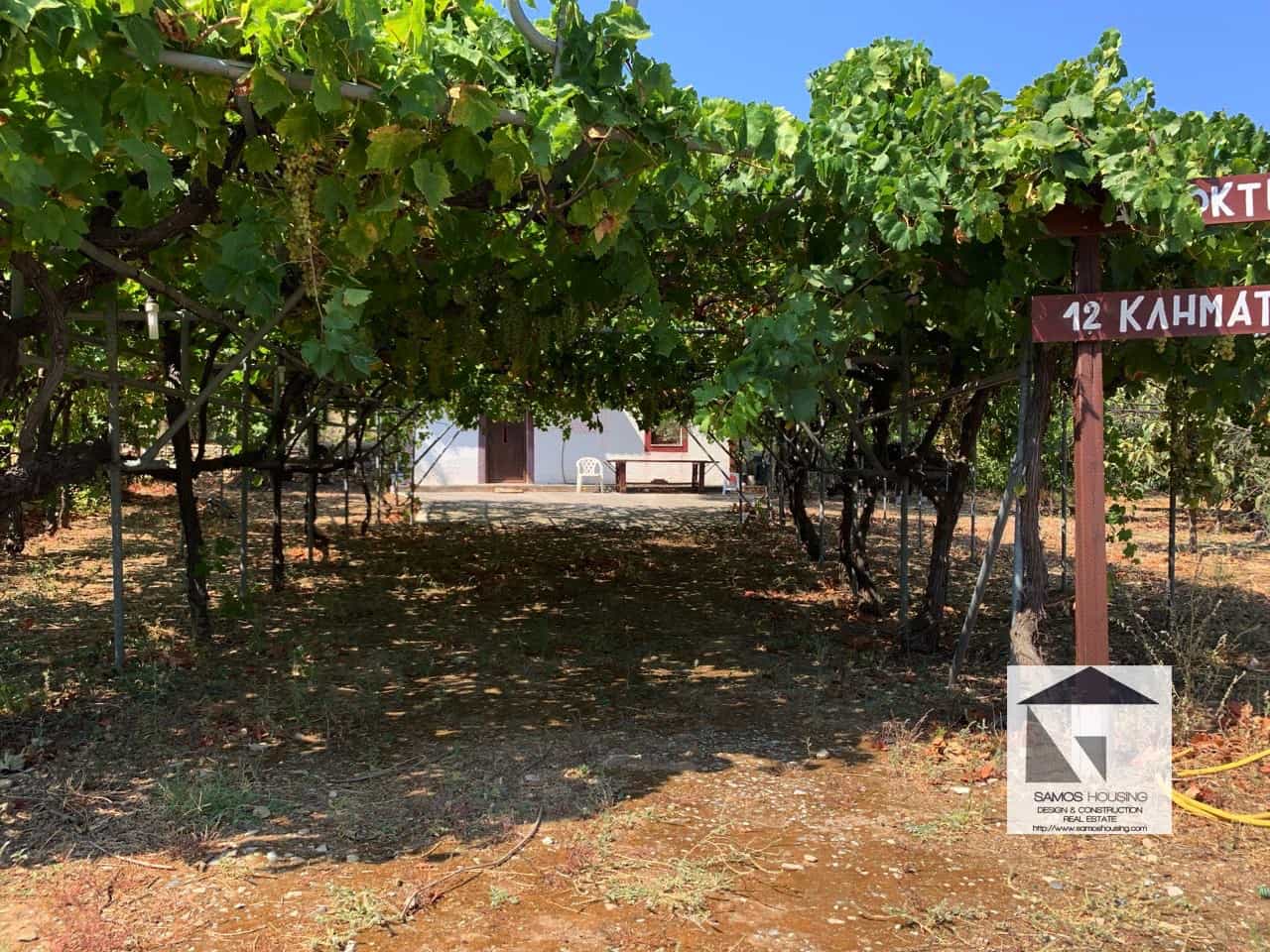 SH319 Vineyard Cottage Pagondas