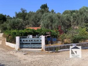 SH319 Vineyard Cottage Pagondas