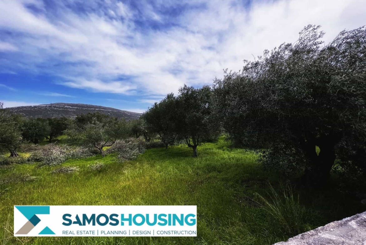 SH399 Mytilinioi Buildable Land
