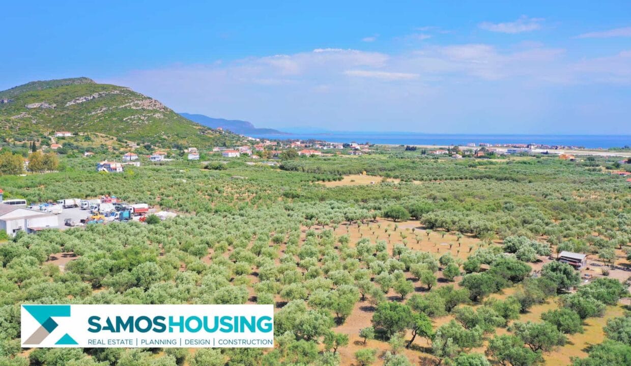 SH406 Plot Chora11