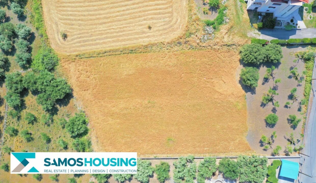 SH406 Plot Chora4