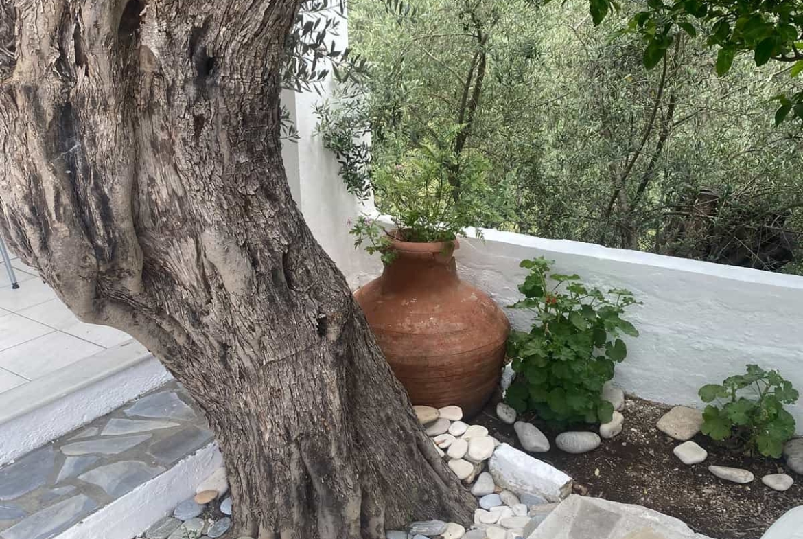 SH356 Ευρύχωρη εξοχική κατοικία
