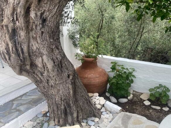 Spacious Country house · Pl. 41