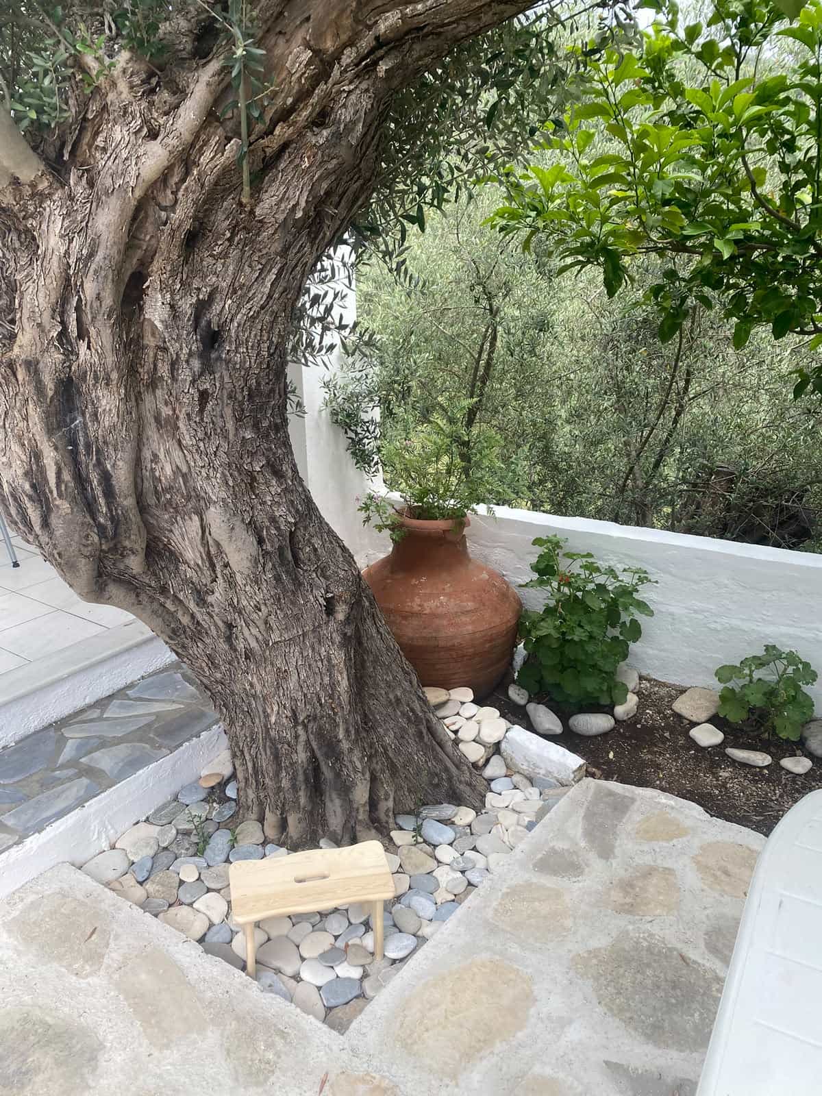 SH356 Ευρύχωρη εξοχική κατοικία