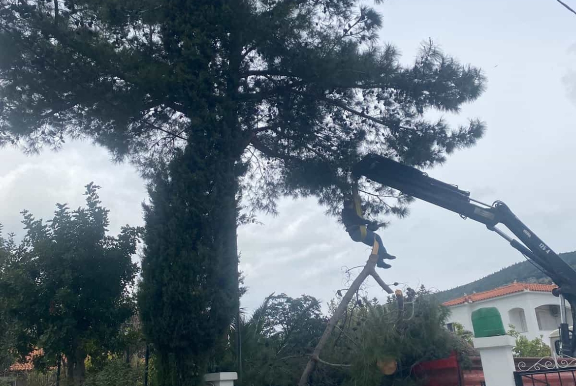 SH356 Ευρύχωρη εξοχική κατοικία