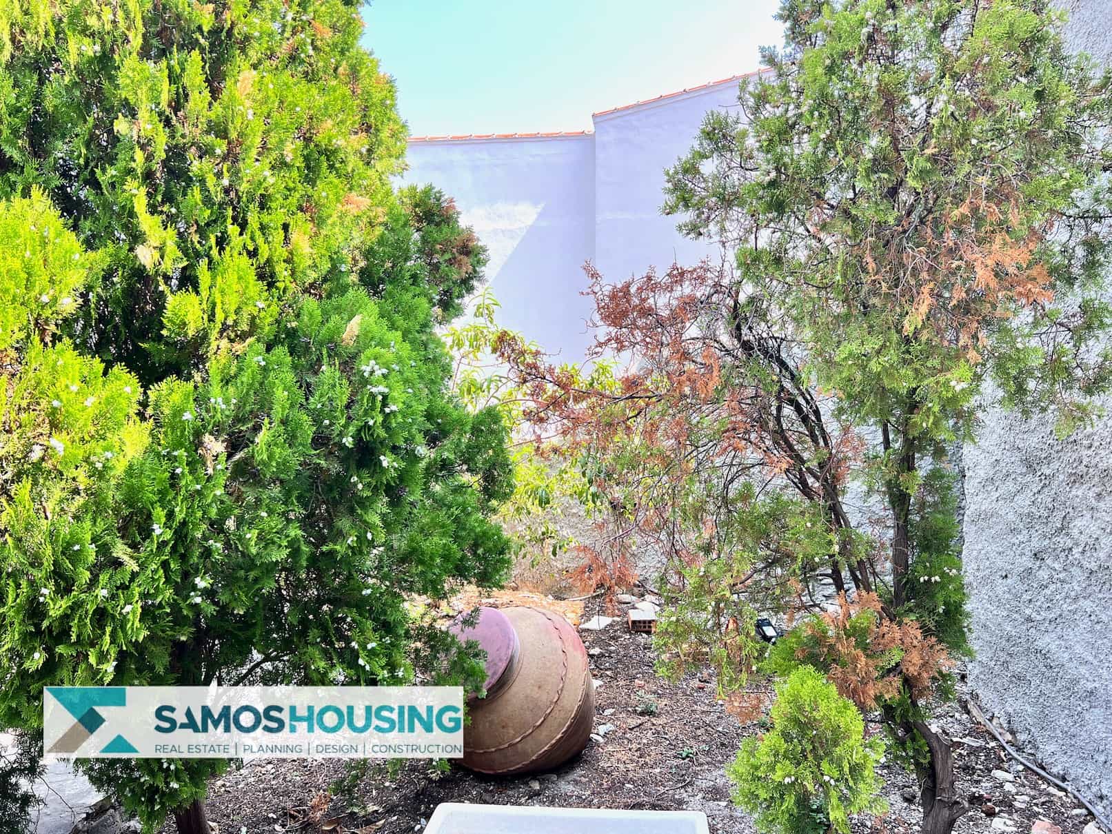 SH415 Alluring House