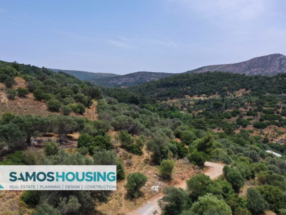 SH427 Sea View Plots