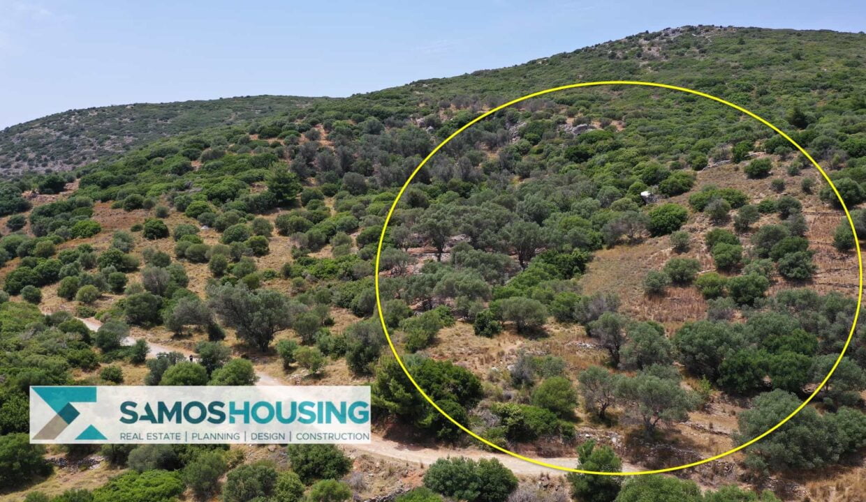 SH427 Sea View Plots14
