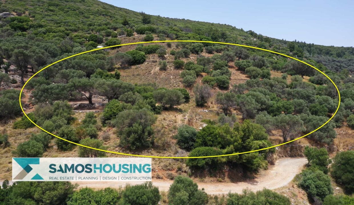 SH427 Sea View Plots15