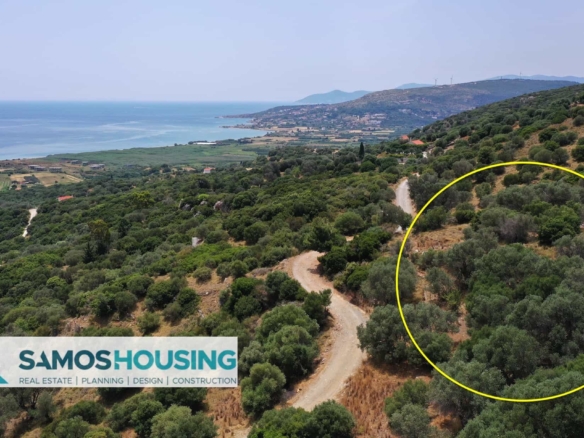 SH427 Sea View Plots