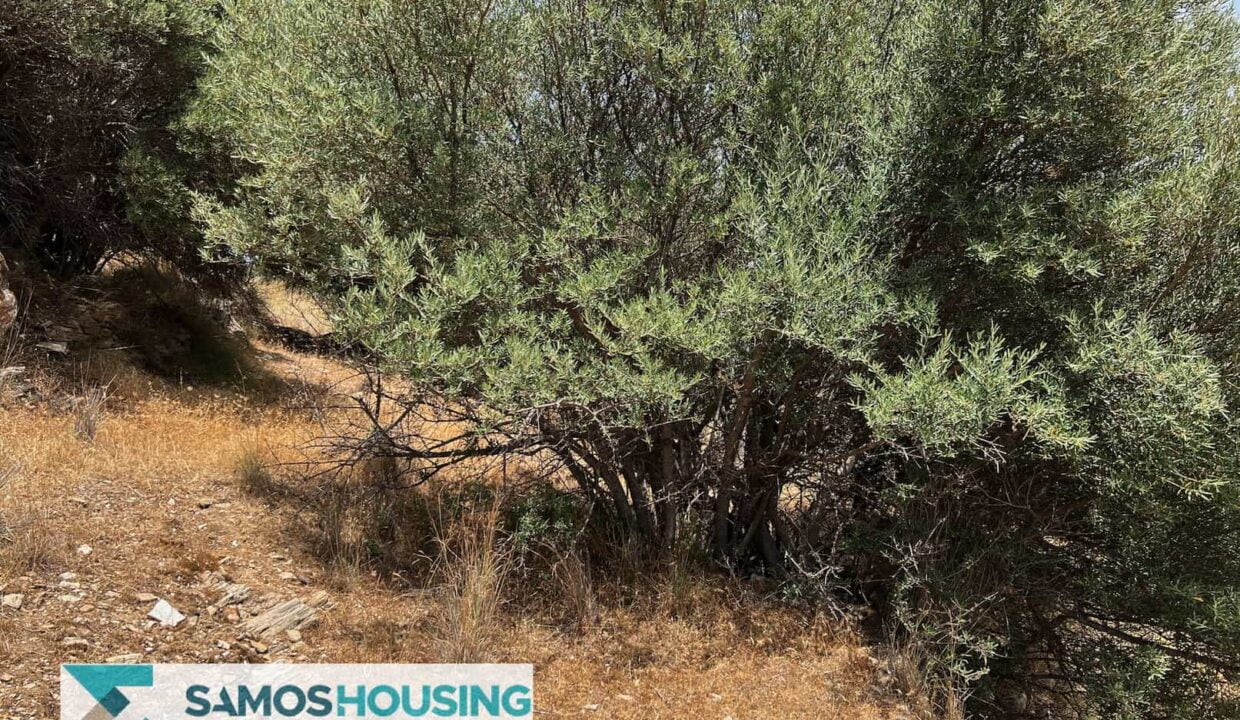 SH427 Sea View Plots28