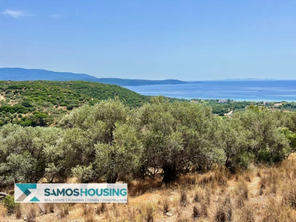 SH427 Sea View Plots