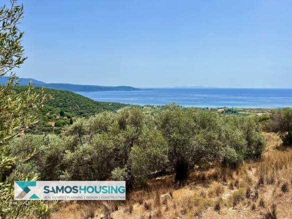 SH427 Sea View Plots