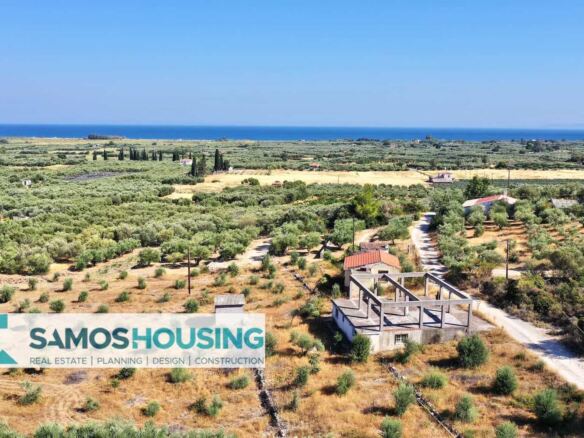 Ελαιώνες που φτάνουν ως τη θάλασσα γύρω από εξοχικό κοντά στο Ηραίο Σάμου