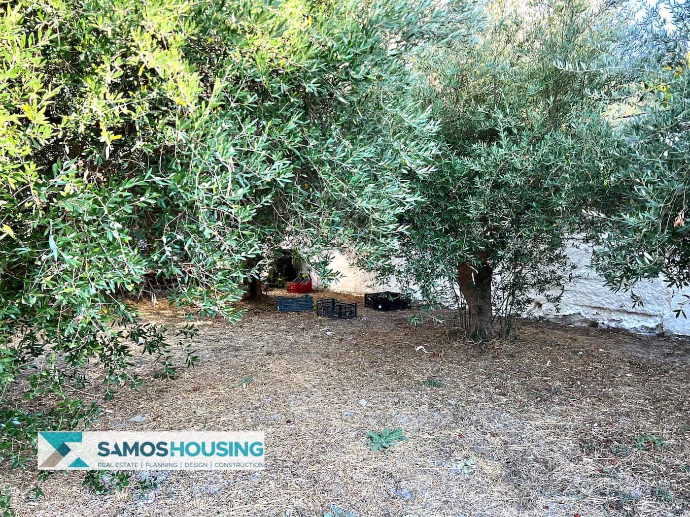 SH447 Buildable Plot Heraion