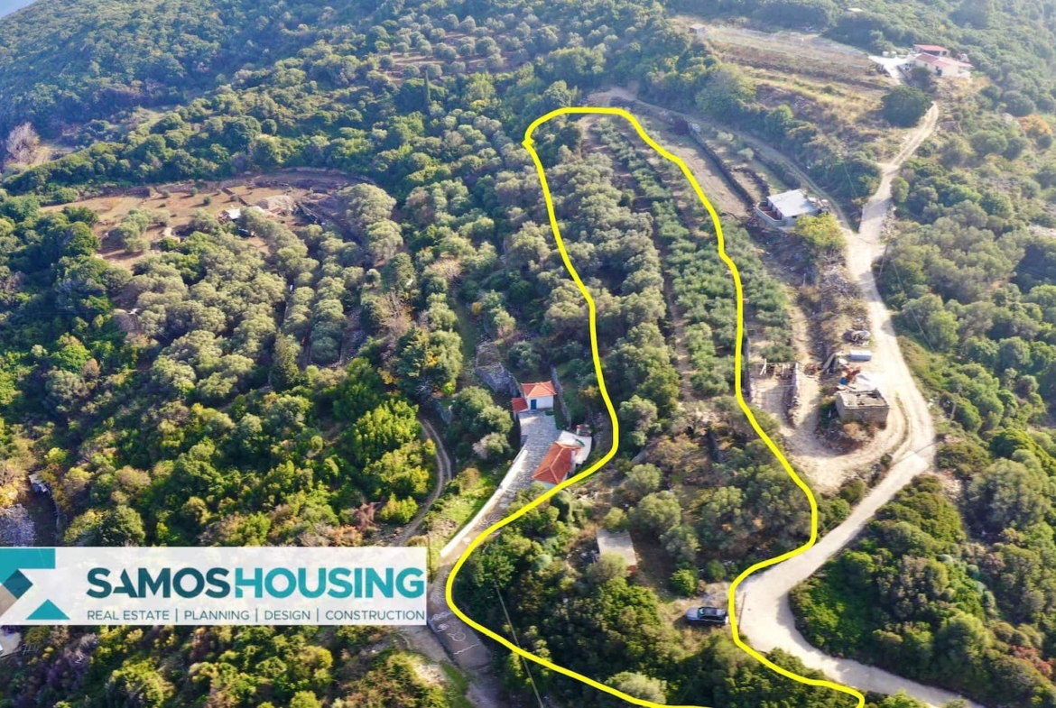 SH459 Magnificent Sea View Plot