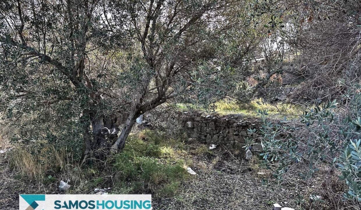 SH459 Magnificent Sea View Plot00023