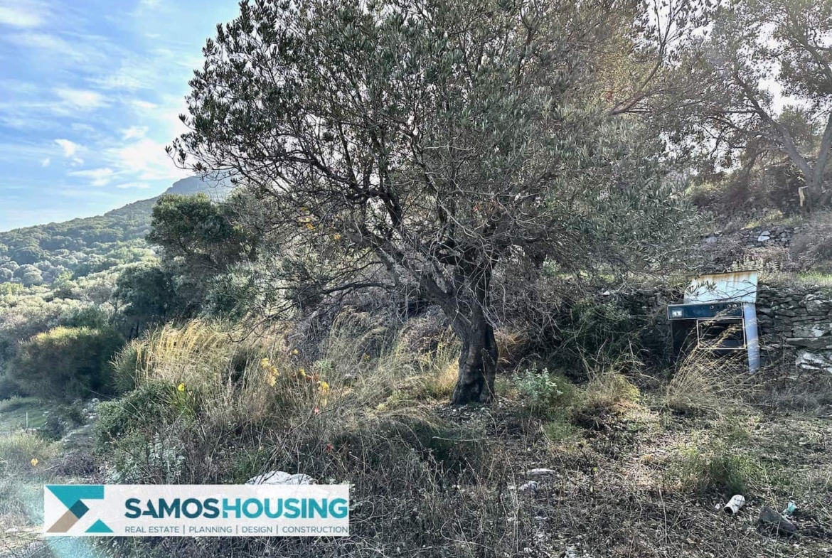 SH459 Magnificent Sea View Plot