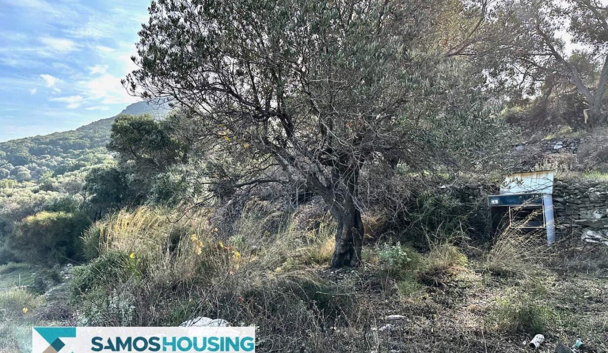 SH459 Magnificent Sea View Plot00024