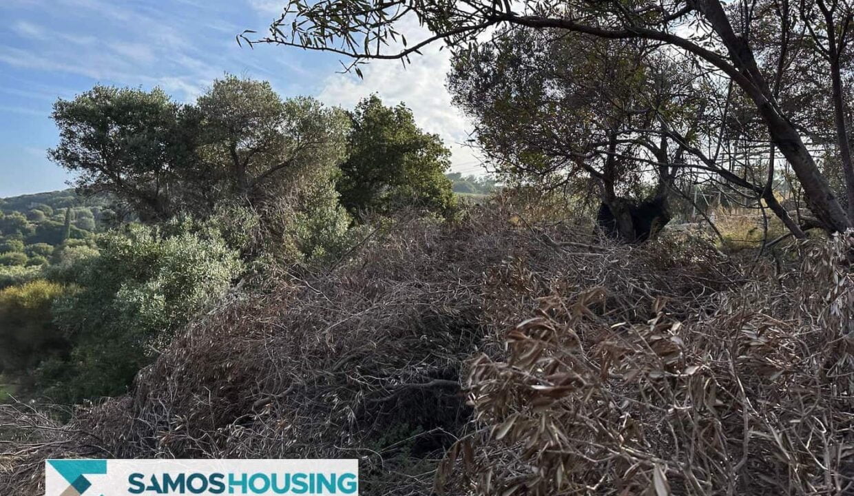 SH459 Magnificent Sea View Plot00032