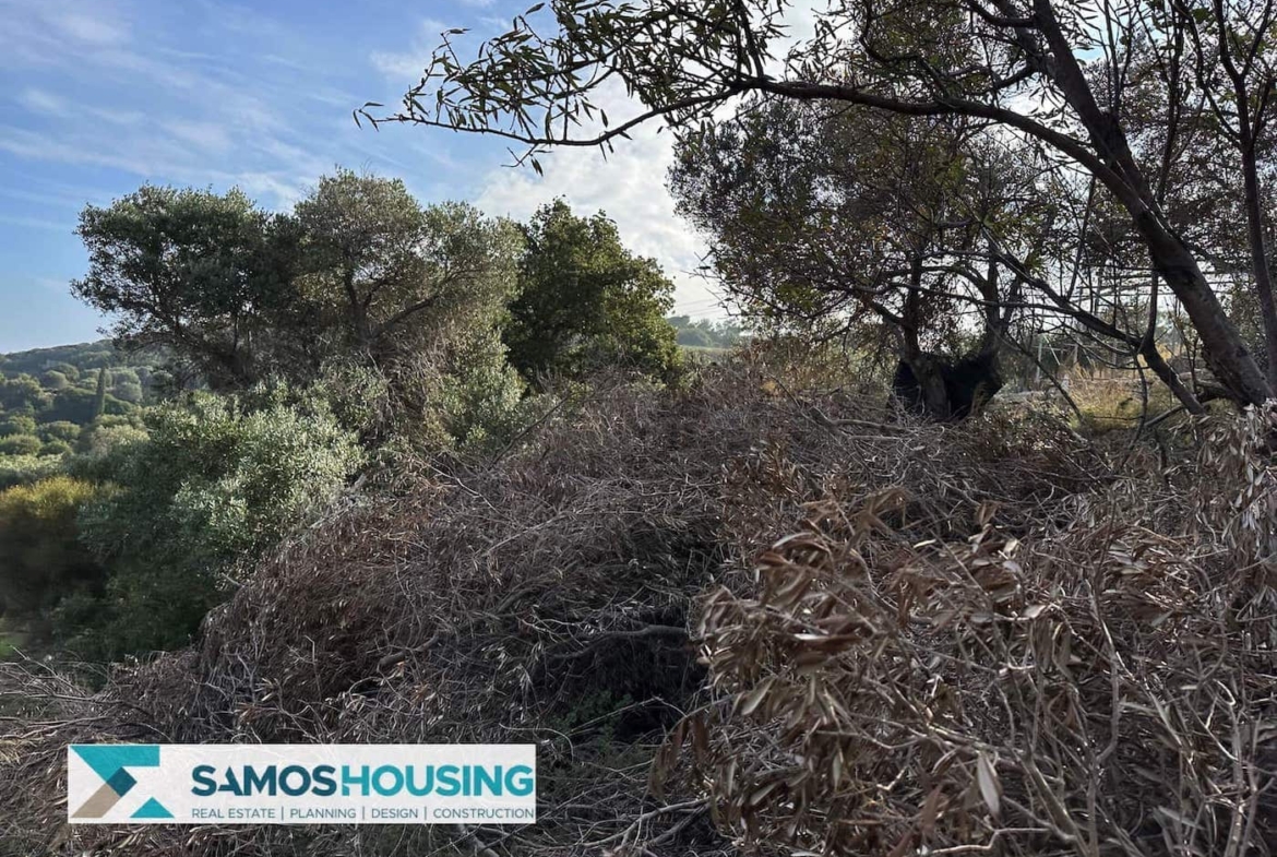 SH459 Magnificent Sea View Plot