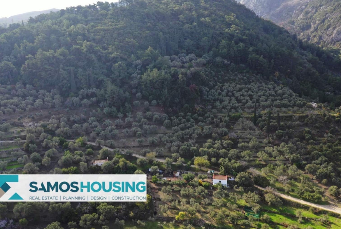 SH460 Sea View Kokkari