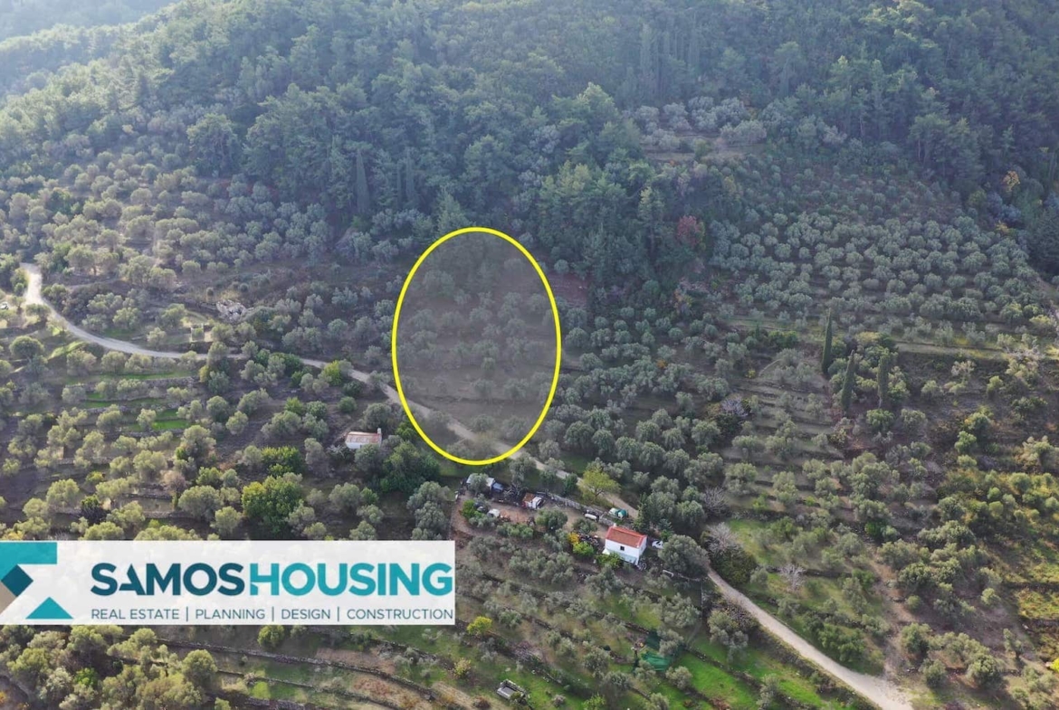 SH460 Sea View Kokkari