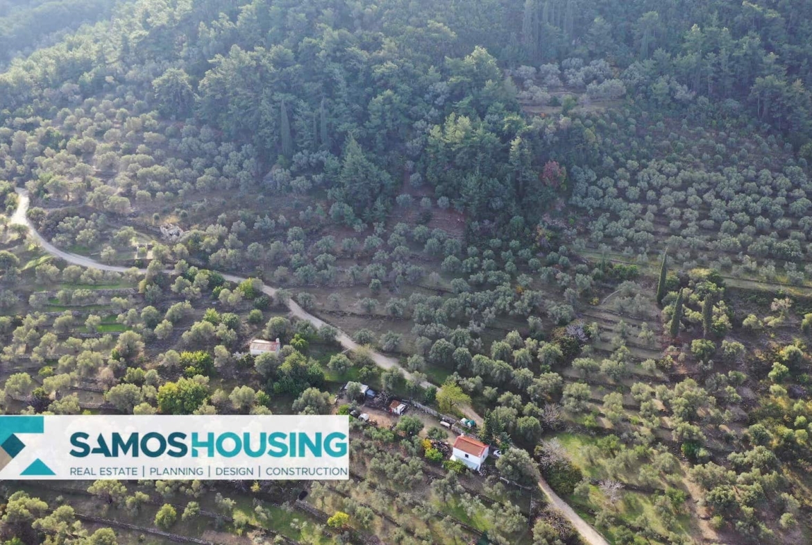 SH460 Sea View Kokkari