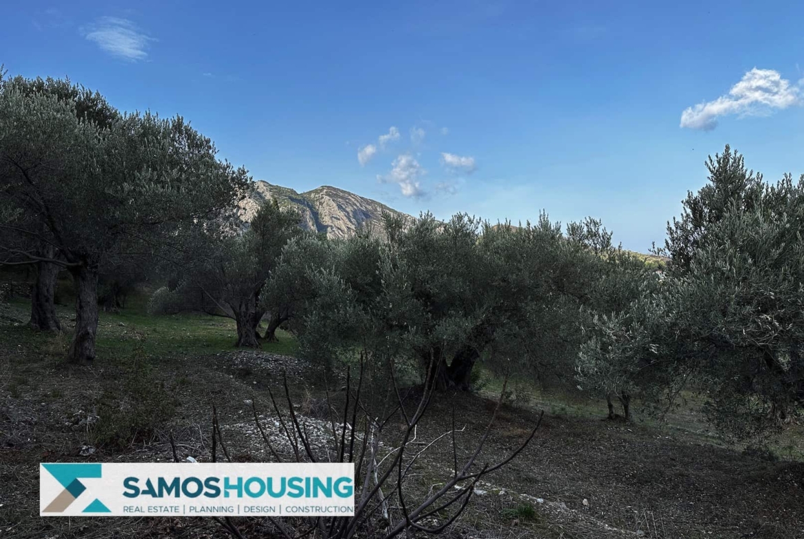 SH460 Sea View Kokkari