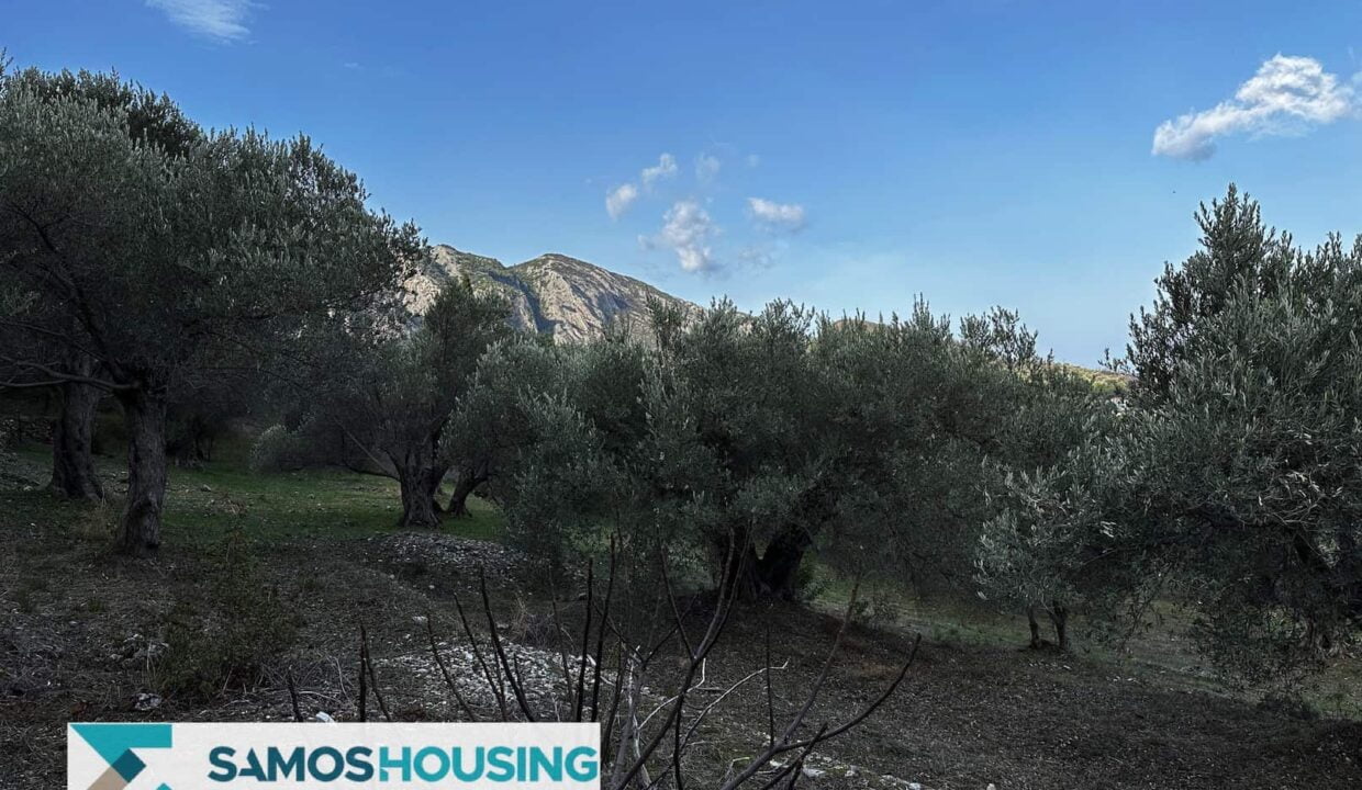 SH460 Sea View Kokkari00019